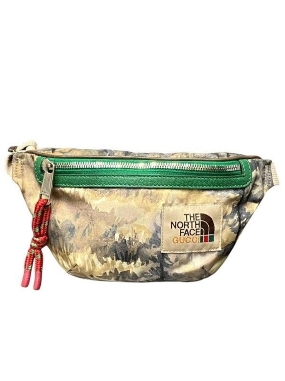 Gucci the North Face Waist Pouch Belt - Picture 1 of 9